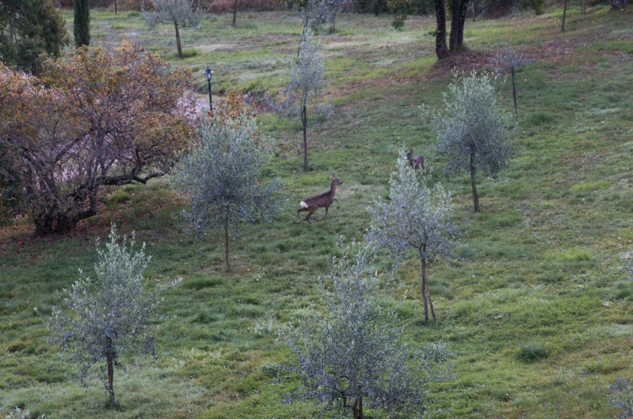 Podere Piandicava Castelnuovo di Val di Cecina Buitenkant foto