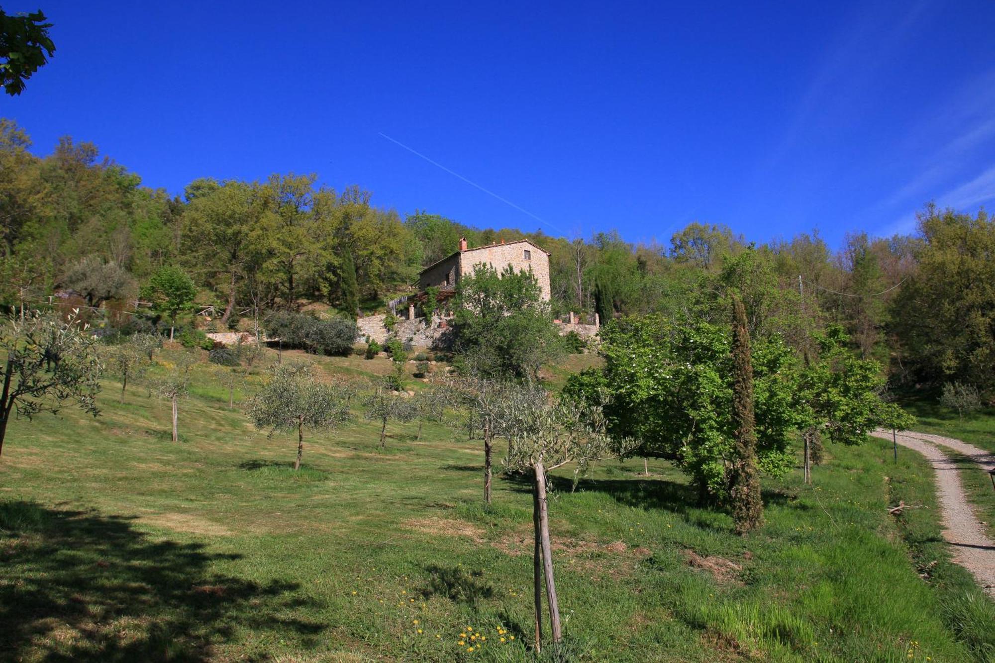 Podere Piandicava Castelnuovo di Val di Cecina Buitenkant foto