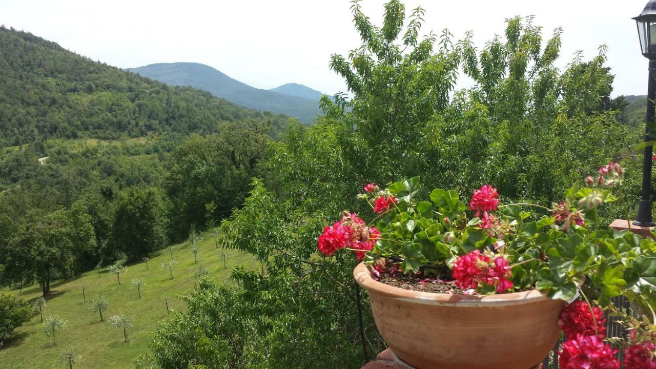Podere Piandicava Castelnuovo di Val di Cecina Buitenkant foto