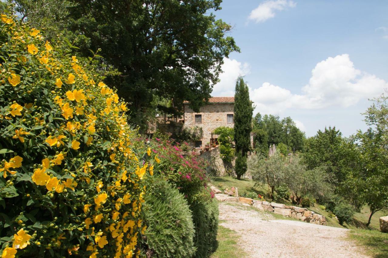 Podere Piandicava Castelnuovo di Val di Cecina Buitenkant foto